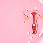 Top view of female reproductive system, pills and various pregnancy tests on pink