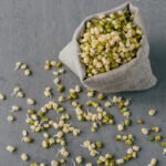 Green orgnaic mung beans with sprouts spread
